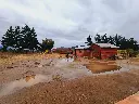 20250508_105218.webp
