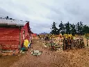 20250508_105311.webp