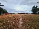 20250508_110403.webp