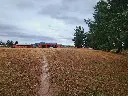 20250508_110357.webp