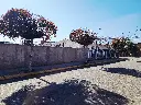 20250718_124731.webp