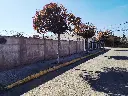 20250718_124717.webp