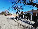 20250718_124337.webp