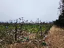 20250723_124955.webp