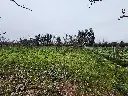 20250723_125228.webp