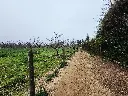 20250723_125030.webp
