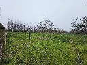 20250723_125104.webp