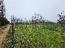 20250723_125100.webp