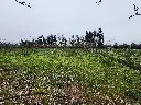 20250723_125226.webp
