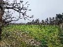 20250723_125316.webp