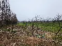20250723_124953.webp