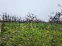 20250723_125105.webp
