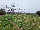 20250723_125216.webp