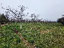 20250723_125218.webp