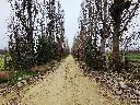 20250723_125723.webp