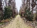 20250723_125732.webp