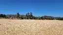 20250221_133936.webp
