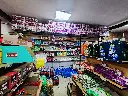 20250707_153828 - copia - copia.webp