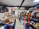 20250707_153652 - copia.webp