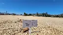 20250221_133853.webp