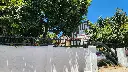 20250124_131128.webp