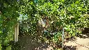 20250124_123640.webp